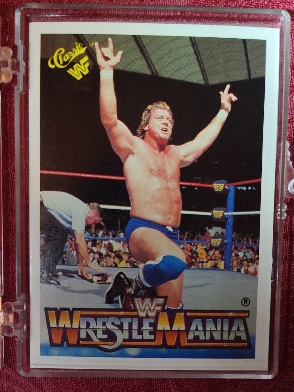WWF 1990 Rowdy Roddy Piper WrestleMania III Titan Trading Card